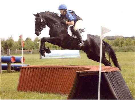 Katy Holder-Vale's Witcham House Farm Stud breeding Hanoverian stallions for dressage introduces Elroon.